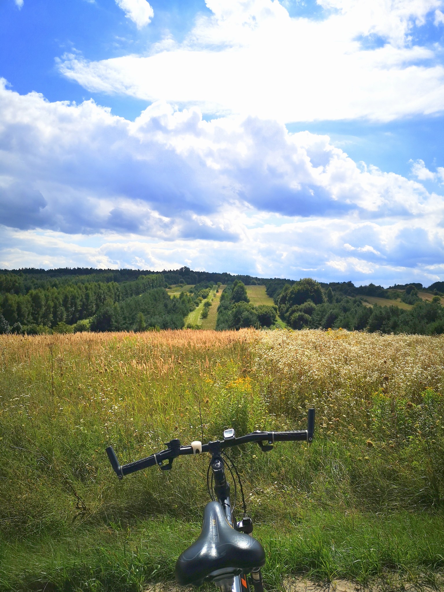 10 Green Velo Lubelskie